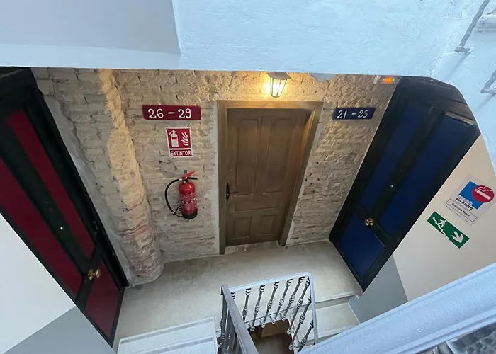 Kiwi Auto Check-in * 발렌시아